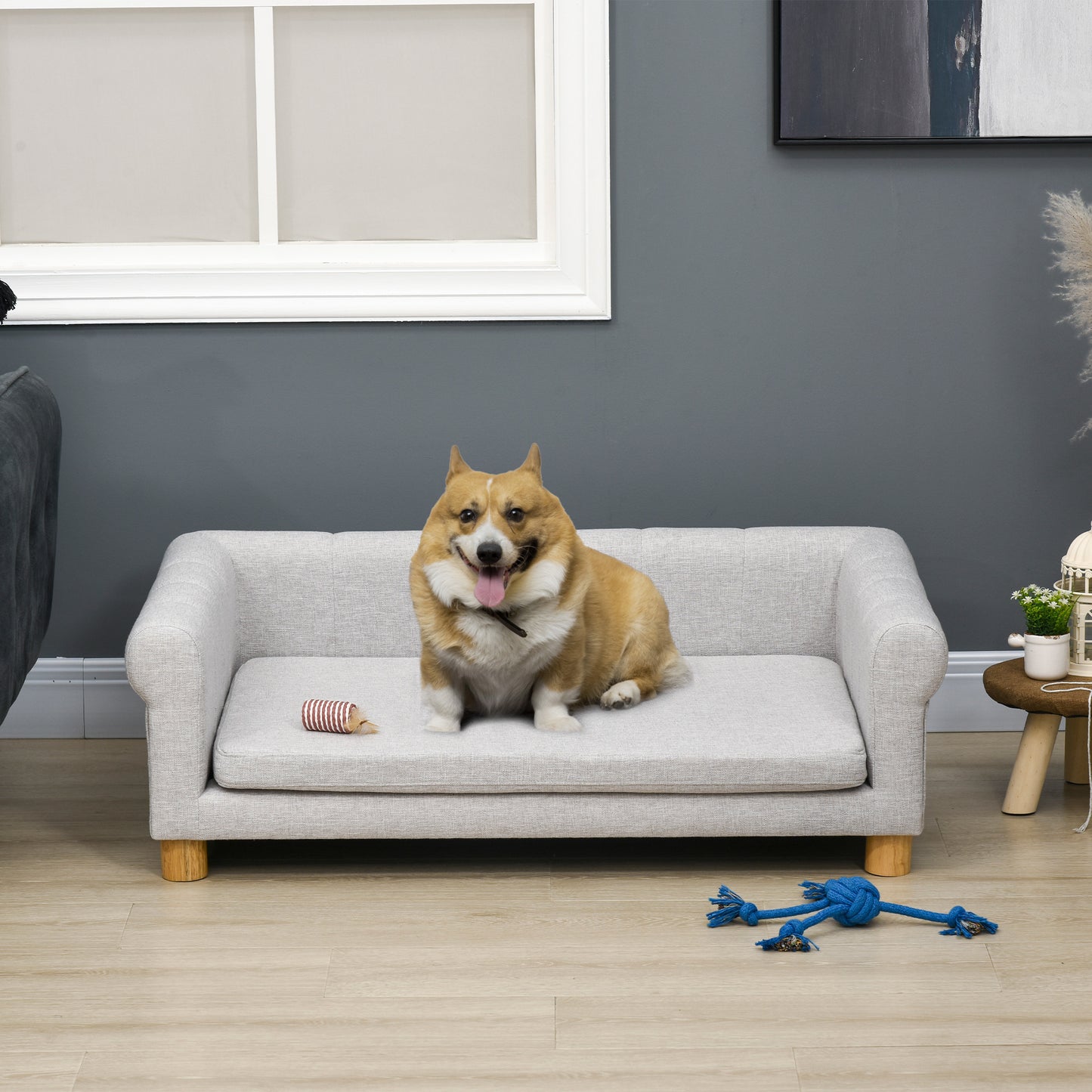Canapé moderne pour animaux de compagnie de taille moyenne et grande, avec coussin d'assise amovible, gris clair