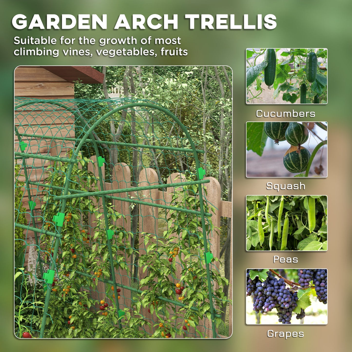 Arched Garden Trellis with Climbing Net for Climbing Plants 57" x 66" x 81"