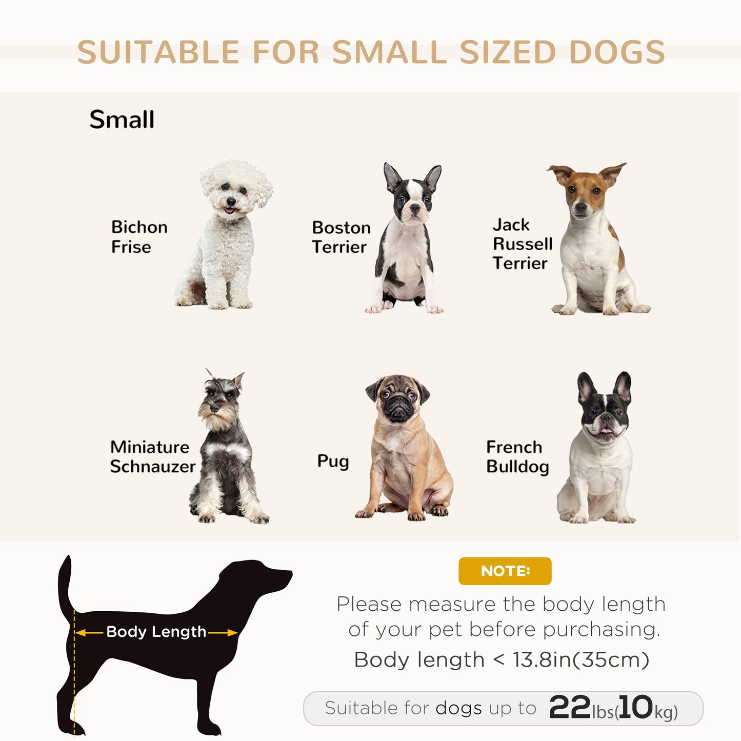 Canapé pour animaux de compagnie, pour petits chiens et chats, coussin en éponge, gris clair