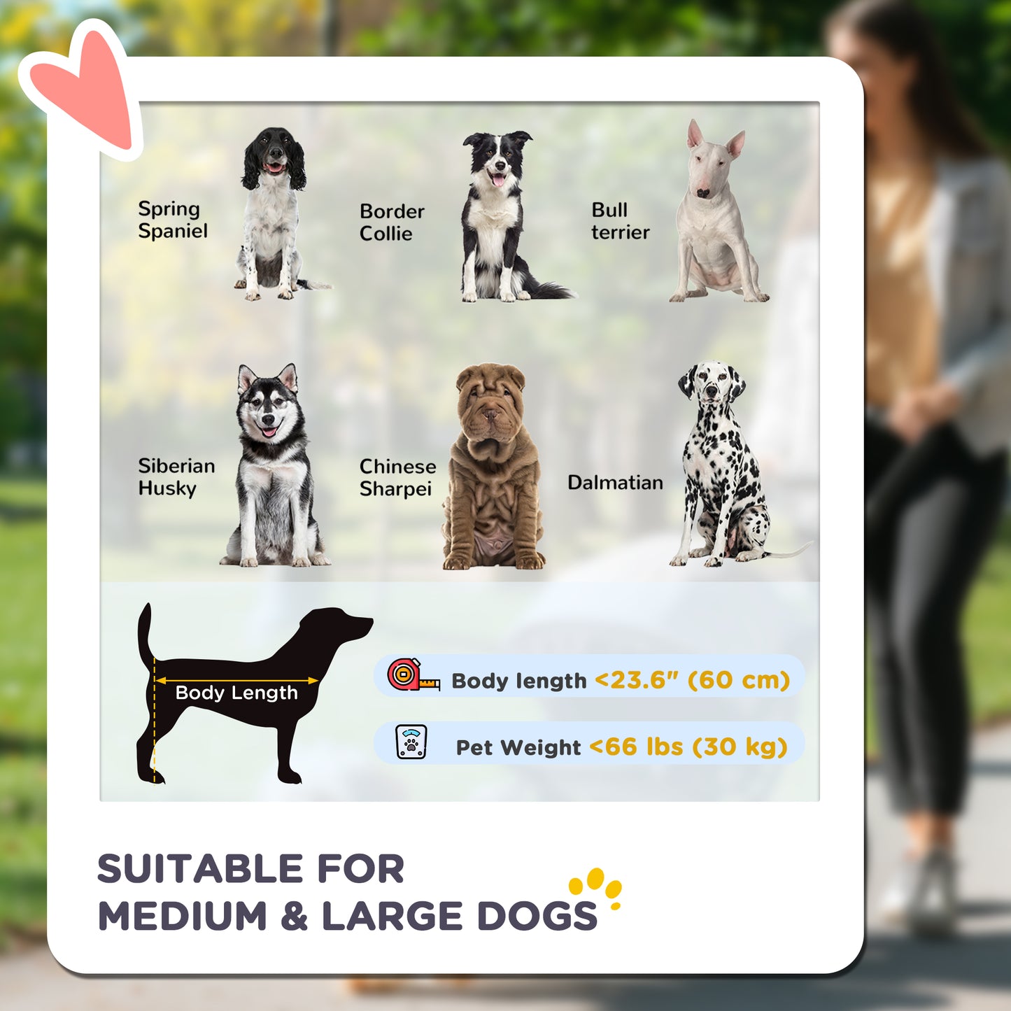 Foldable dog stroller for large and medium dogs, dark gray
