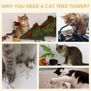 3-story, three-hole condo with scratching post