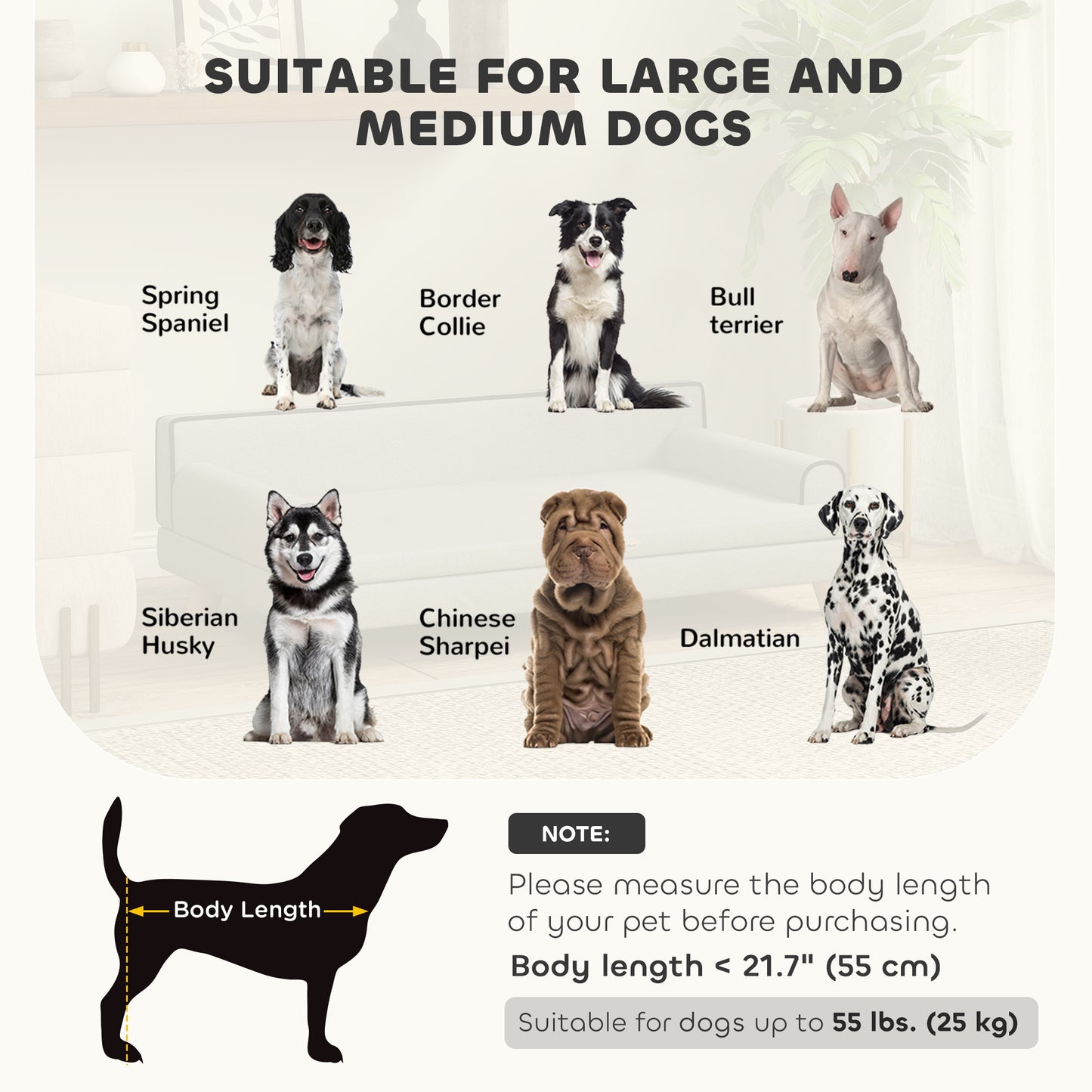 Canapé-lit surélevé pour chiens de taille moyenne et grande, gris clair