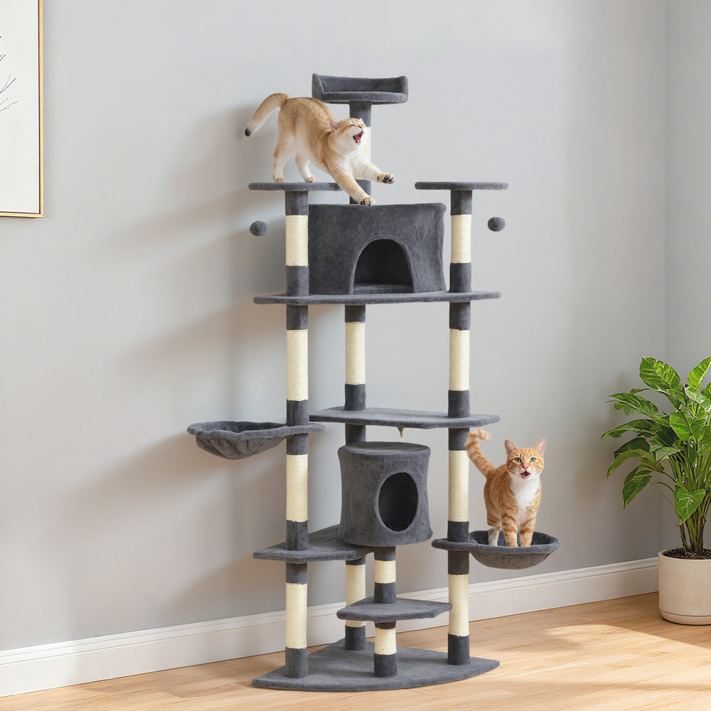 Arbre à chat de 79" avec jouets pour chatons, gris foncé