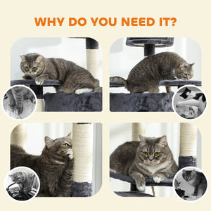 Arbre à chat de 79" avec jouets pour chatons, gris foncé