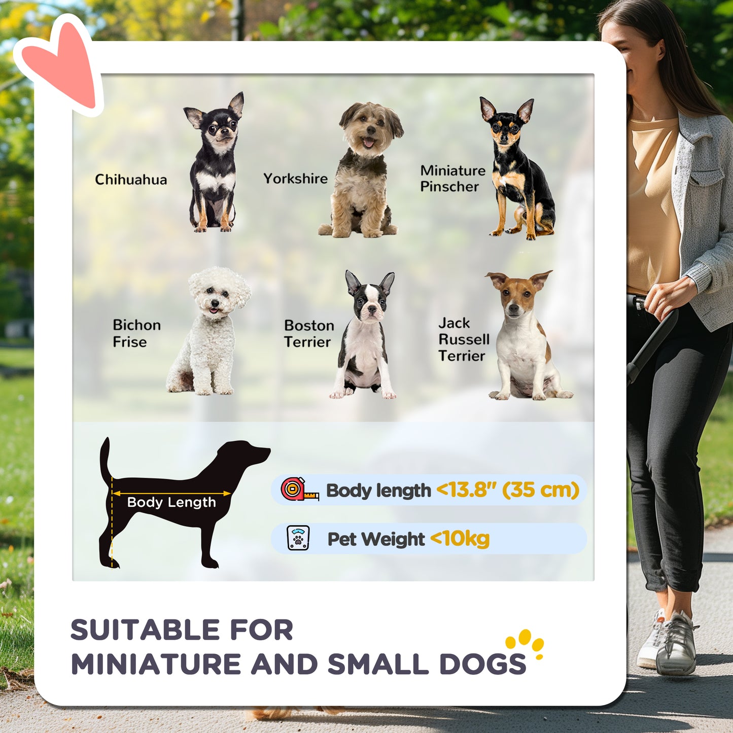 3-Wheel Foldable Stroller with Storage Basket for Miniature and Small Dogs, Black