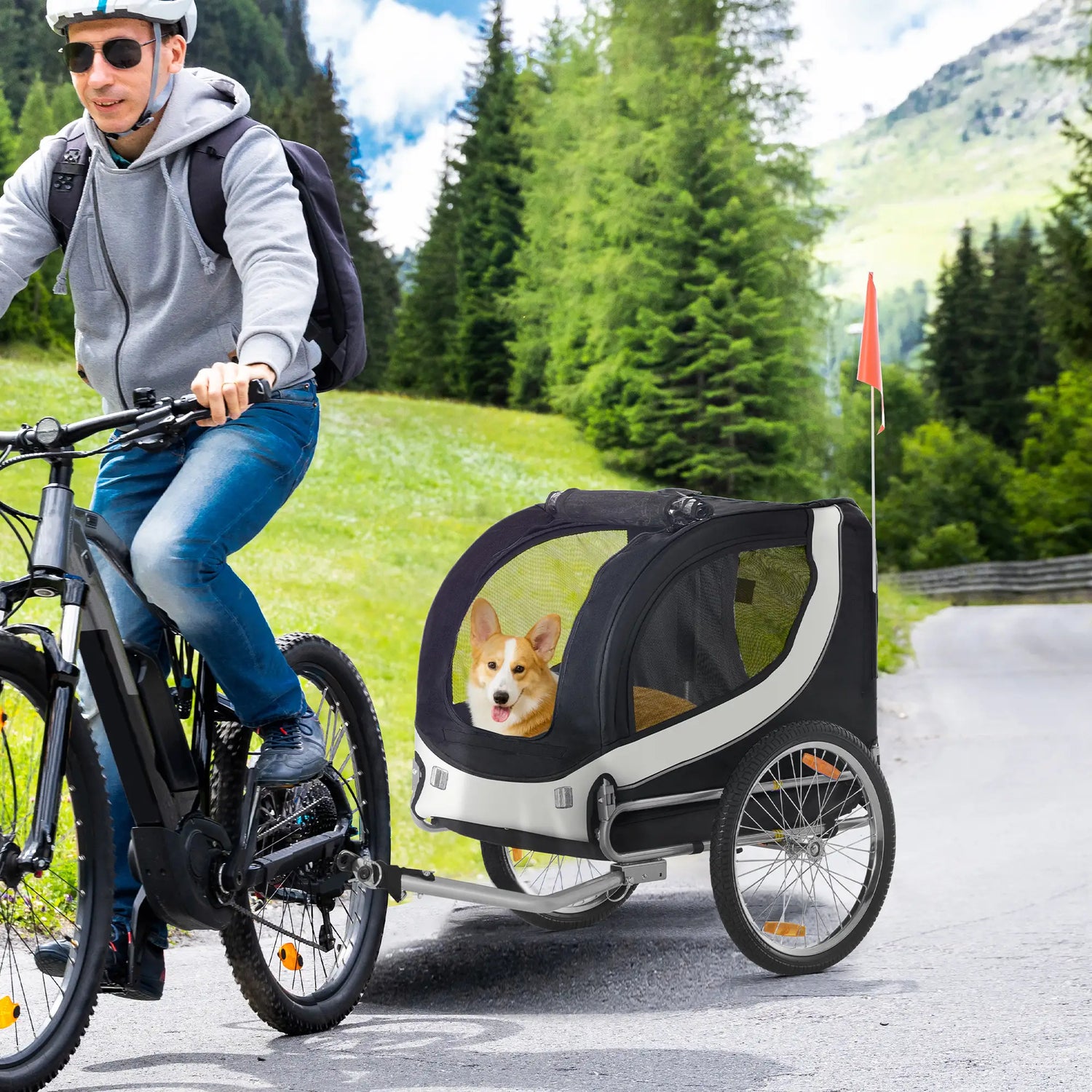 Remorques de vélo et poussettes pour chiens