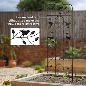 Lot de 2 treillis de jardin pour plantes grimpantes