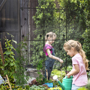 Ensemble de 2 treillis métalliques pour plantes grimpantes