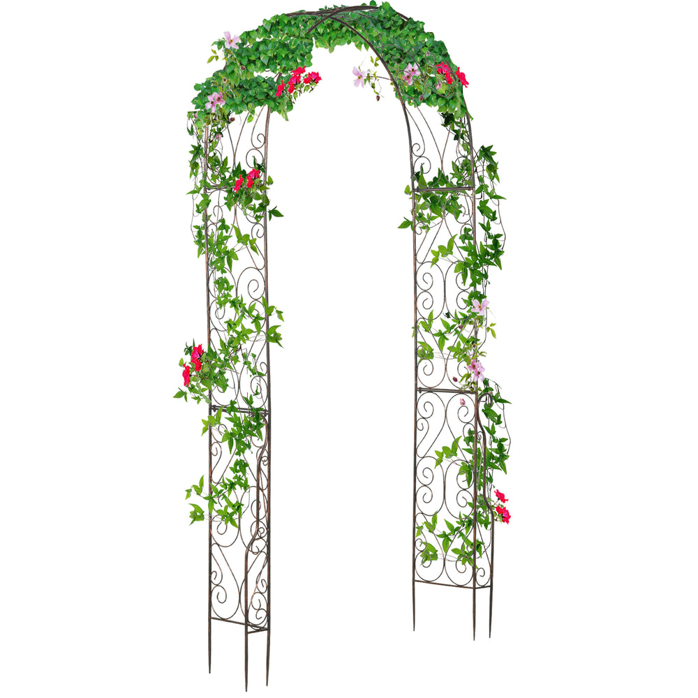 Arche de jardin en métal avec pergola pour plantes grimpantes décoratives