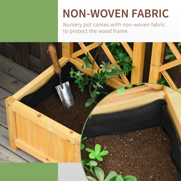 Set of 2 raised flower boxes with trellis