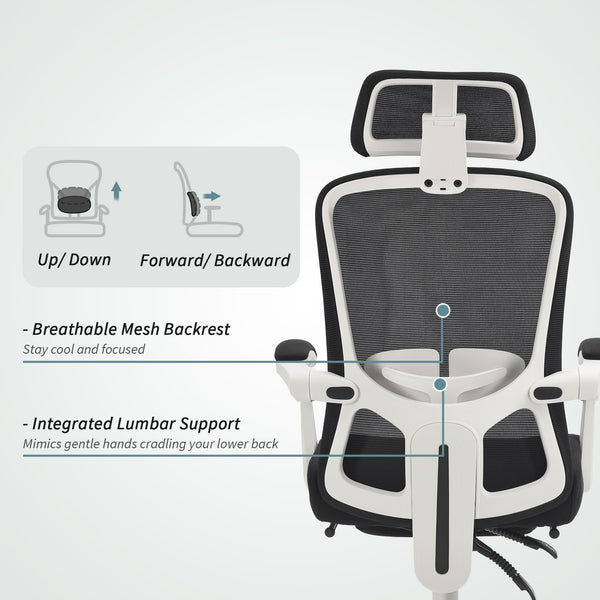 Ergonomic reclining mesh office chair with adjustable lumbar support and headrest, black