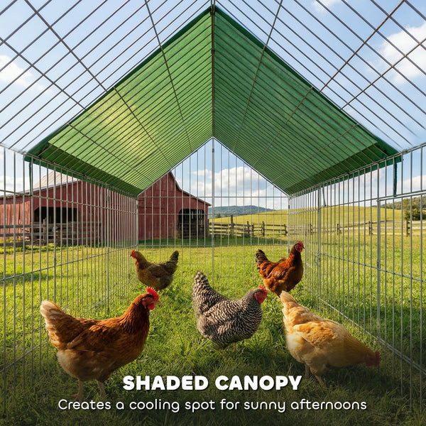 Metal chicken coop with UV-resistant lid
