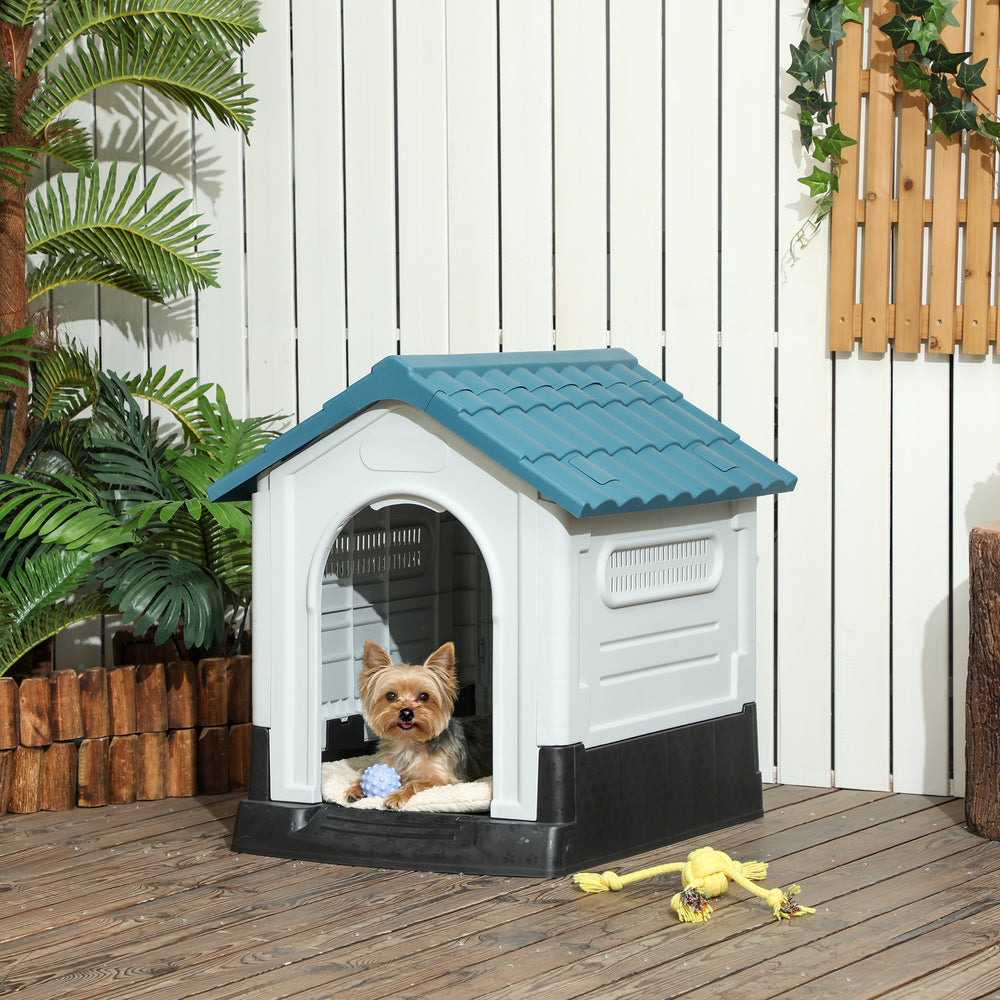 Outdoor kennel with windows and elevated base