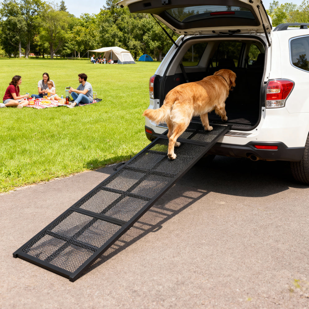 Foldable and portable car ramp