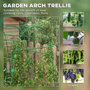 Treillis de jardin arqué avec filet d'escalade pour plantes grimpantes 57" x 66" x 81"