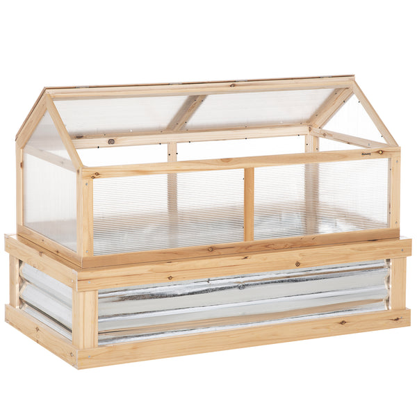 Kit de jardin surélevé avec serre, châssis froid en bois
