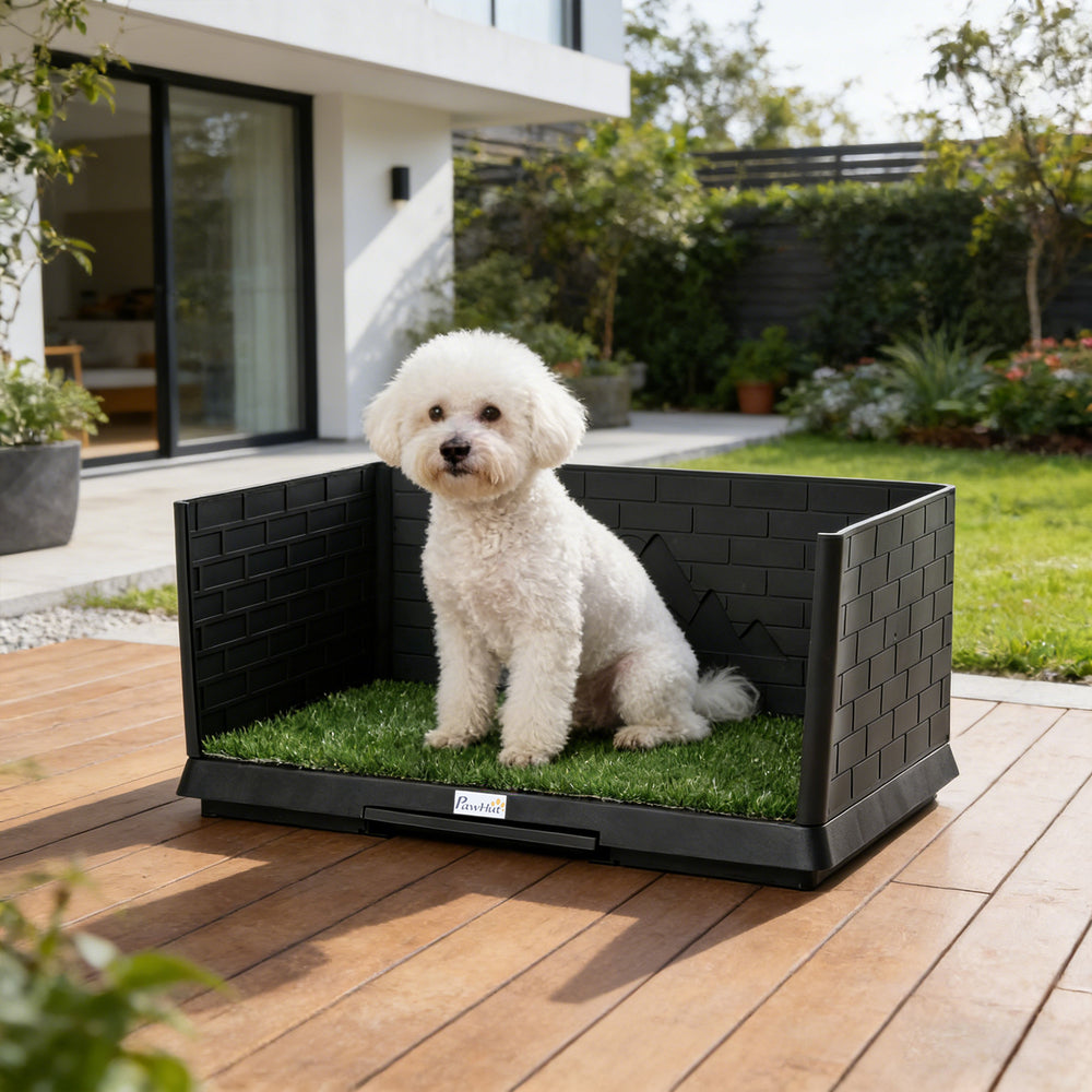 Tapis d'apprentissage de la propreté pour chien