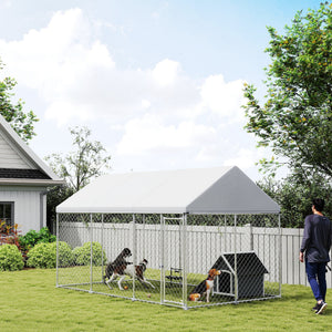 Chenil en acier galvanisé avec toit et verrou de sécurité