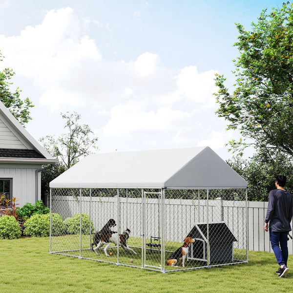 Chenil en acier galvanisé avec toit et verrou de sécurité