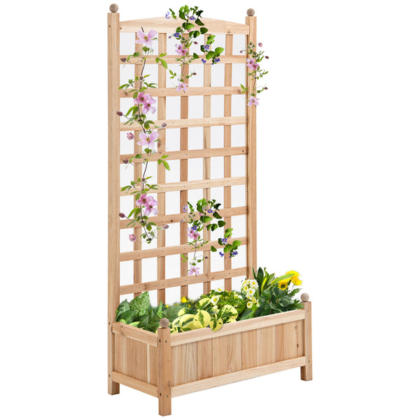 Raised vegetable garden with rear trellis and sturdy wooden structure