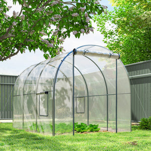 Tunnel greenhouse with roll-up door and mesh window, wind-resistant, transparent