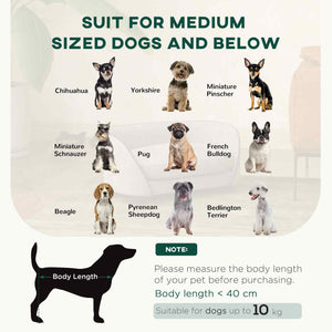 Dog sofa with soft cushion, removable and washable cover, grey