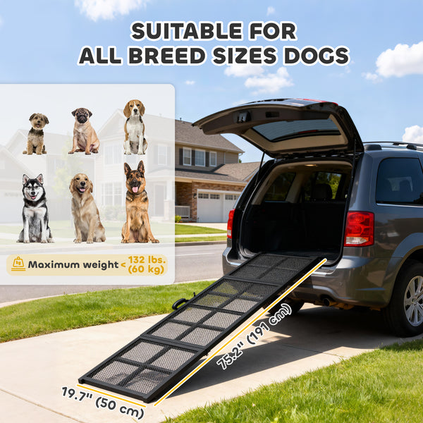 Rampe de voiture pliable et portable