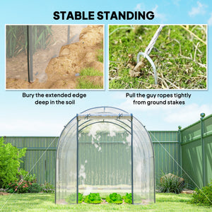 Tunnel greenhouse with roll-up door and mesh window, wind-resistant, transparent