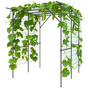 Metal garden arch with netting for climbing plants