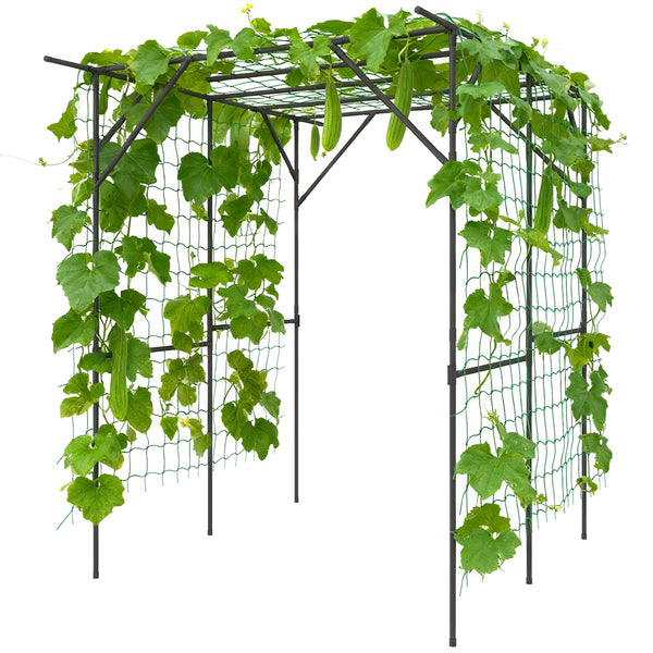 Metal garden arch with netting for climbing plants