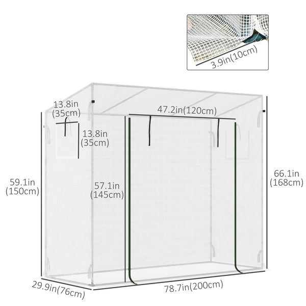 Garden greenhouse with steel frame, door and window