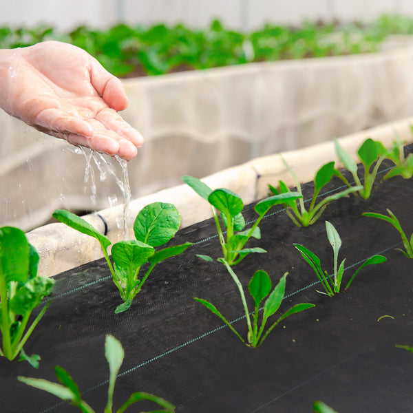 Toile de paillage 2 m x 50 m