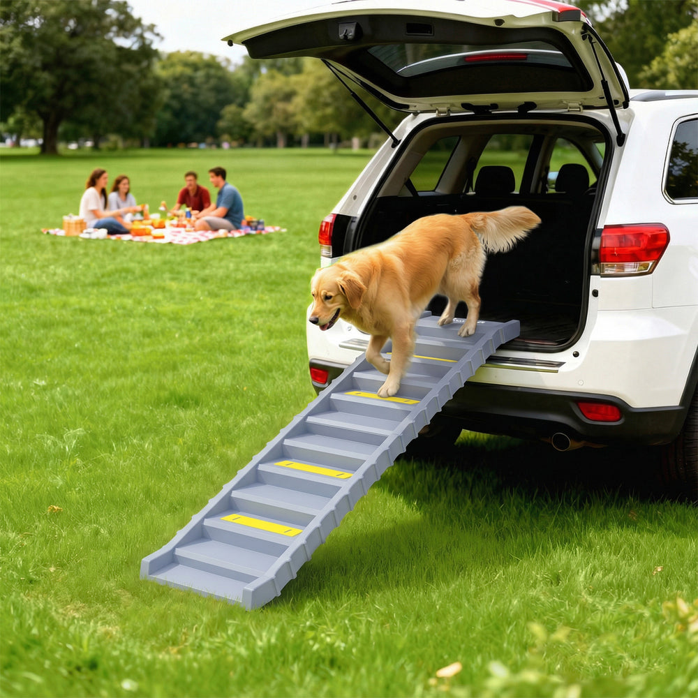 Rampe pliable pour chien, 10 marches, capacité de 55 lb, grise