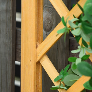 Set of 2 raised flower boxes with trellis