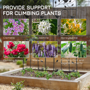 Lot de 2 treillis de jardin pour plantes grimpantes