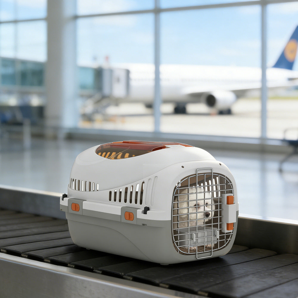 Cage de transport rigide pour petits animaux, 19 po