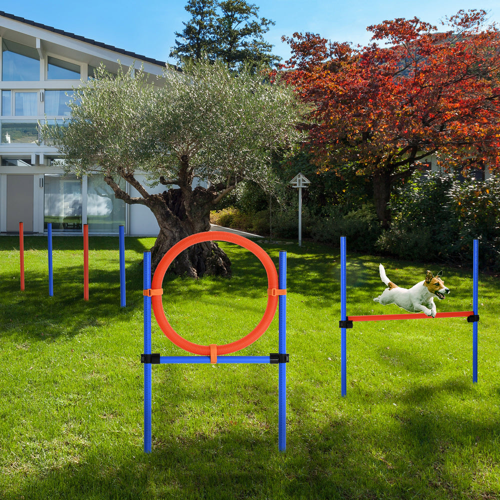 Kit d'entraînement d'agilité pour chien