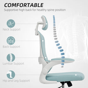 Ergonomic mesh office chair with lumbar support, blue/green