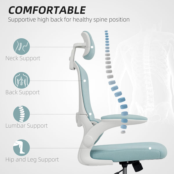 Ergonomic mesh office chair with lumbar support, blue/green