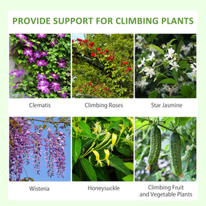 Ensemble de 2 treillis métalliques pour plantes grimpantes