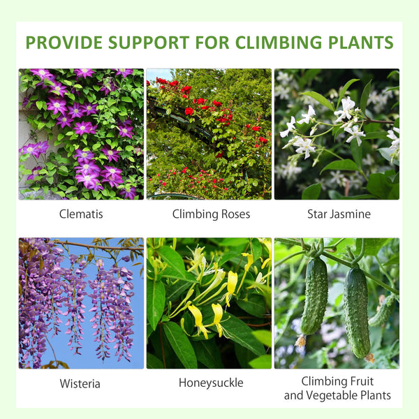 Ensemble de 2 treillis métalliques pour plantes grimpantes