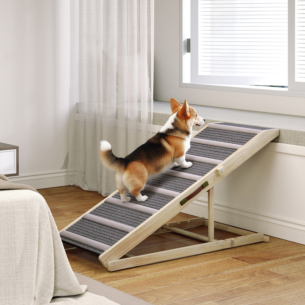 Dog ramp with 4 adjustable heights
