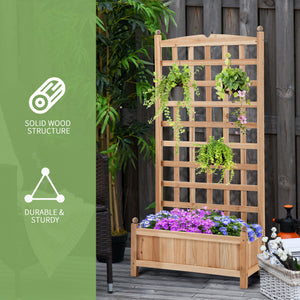 Raised vegetable garden with rear trellis and sturdy wooden structure