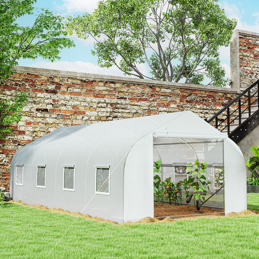 20x10 outdoor greenhouse for seedlings