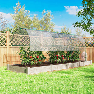 Serre tunnel à tomates avec 4 arceaux