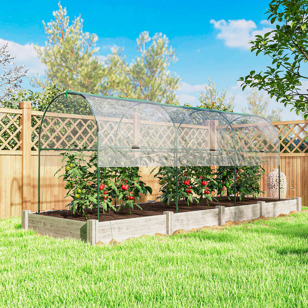 Serre tunnel à tomates avec 4 arceaux