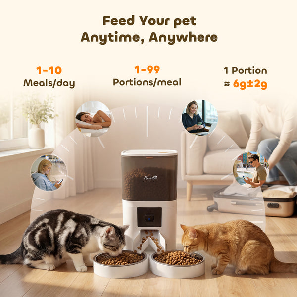 Automatic cat feeder for 2 cats with HD camera