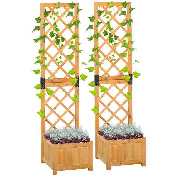 Set of 2 raised flower boxes with trellis