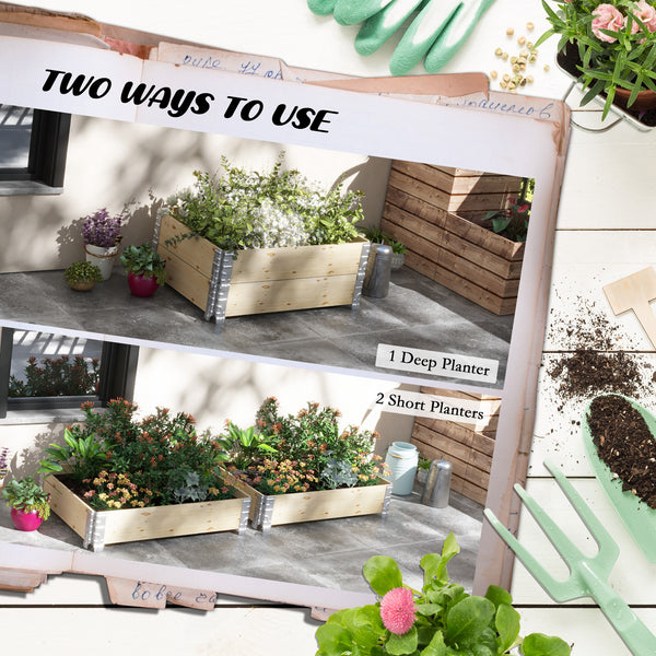 Jardinière surélevée en bois à deux compartiments