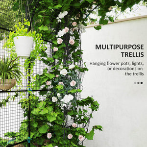 Jardinières surélevées galvanisées avec treillis en arche